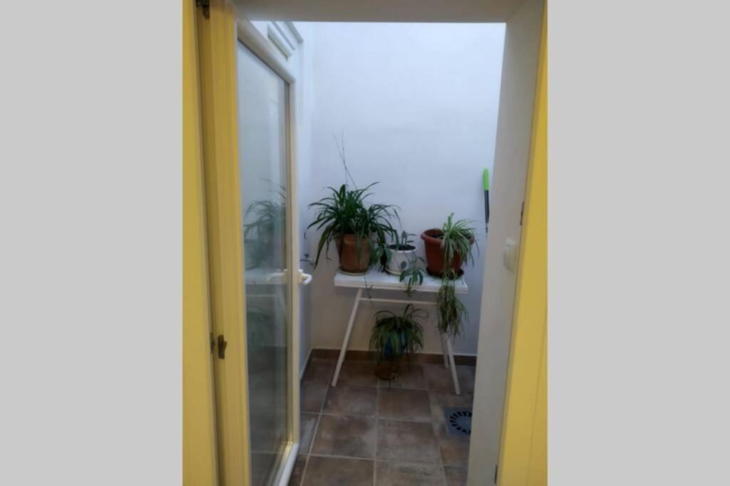 ビリャカリリョ Vivienda Rural Mogon-Junto Al Guadalquivir Bヴィラ エクステリア 写真