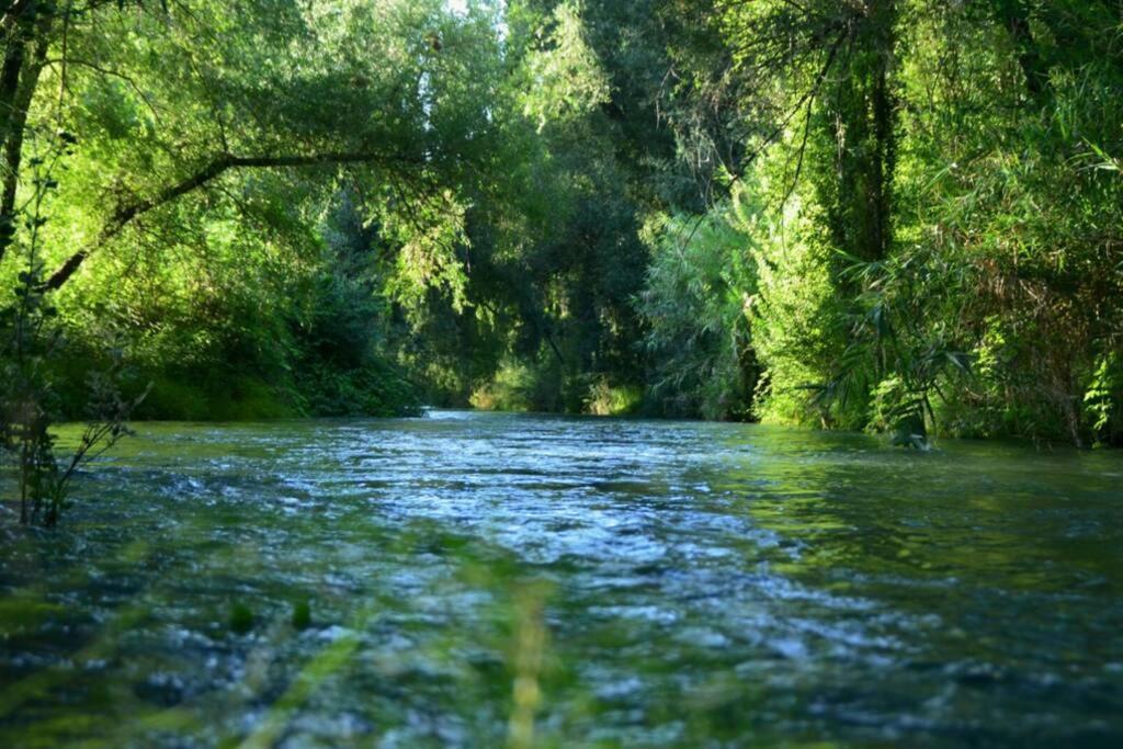 ビリャカリリョ Vivienda Rural Mogon-Junto Al Guadalquivir Bヴィラ エクステリア 写真