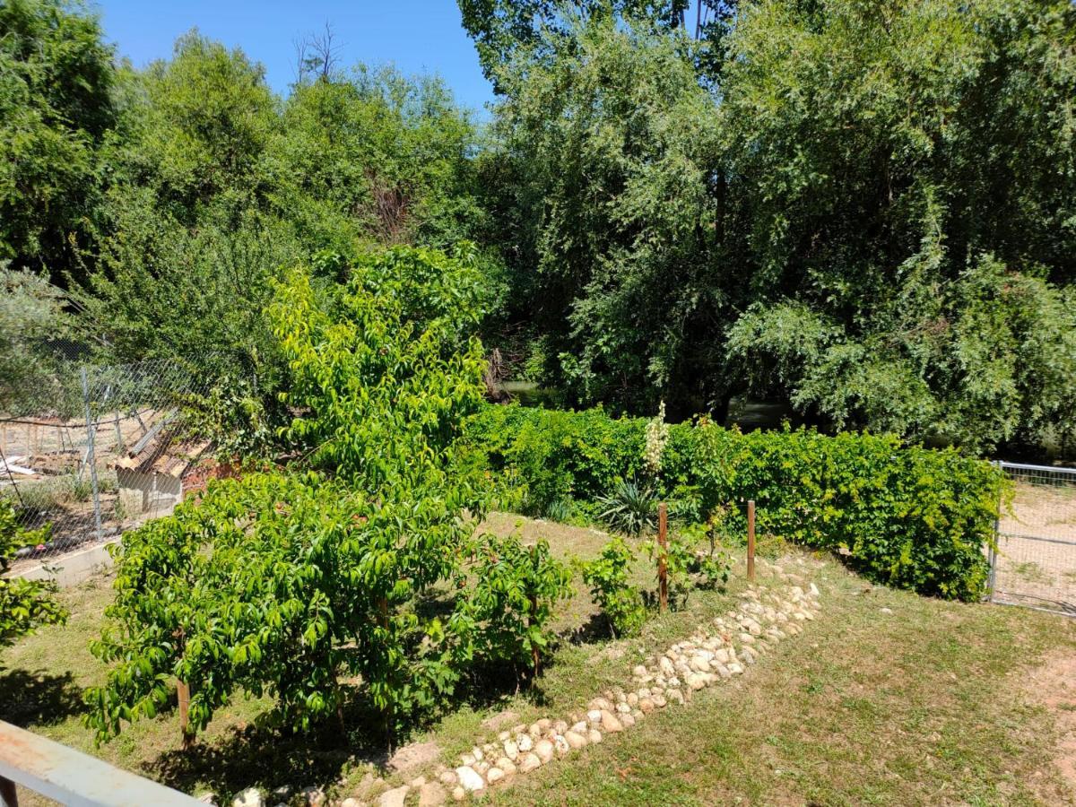 ビリャカリリョ Vivienda Rural Mogon-Junto Al Guadalquivir Bヴィラ エクステリア 写真